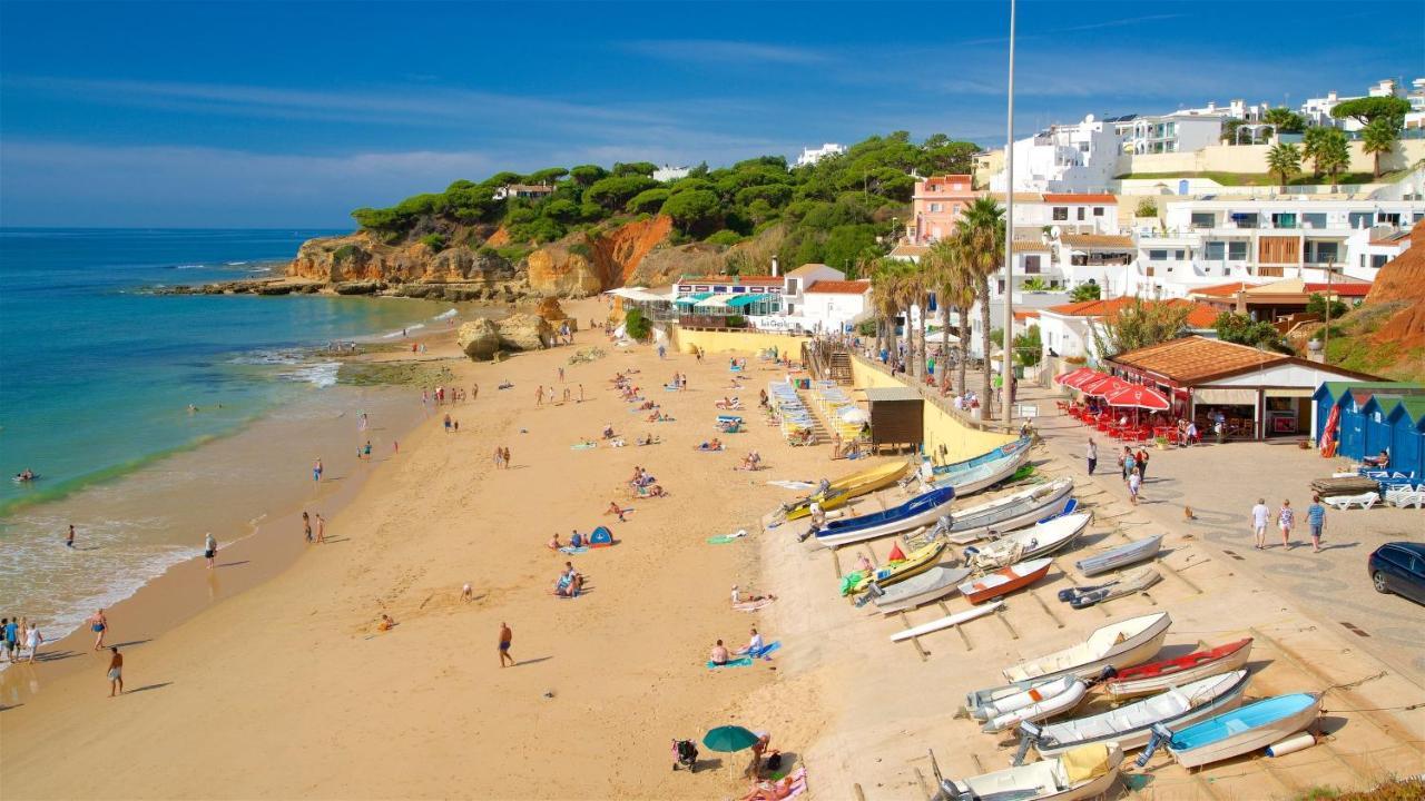 Quinta Pereiro Tropic Garden, Algarve Bed & Breakfast Moncarapacho Dış mekan fotoğraf