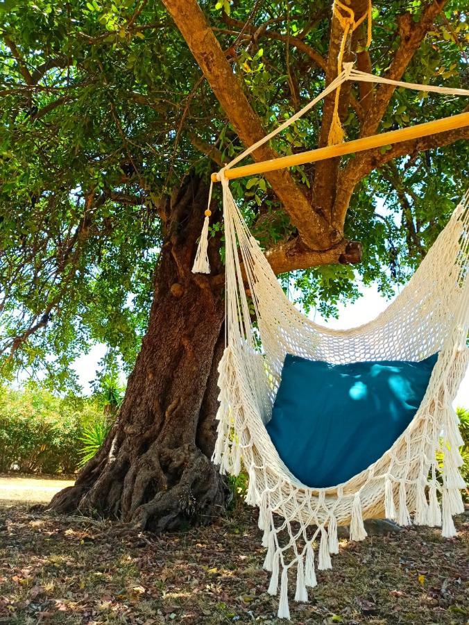 Quinta Pereiro Tropic Garden, Algarve Bed & Breakfast Moncarapacho Dış mekan fotoğraf