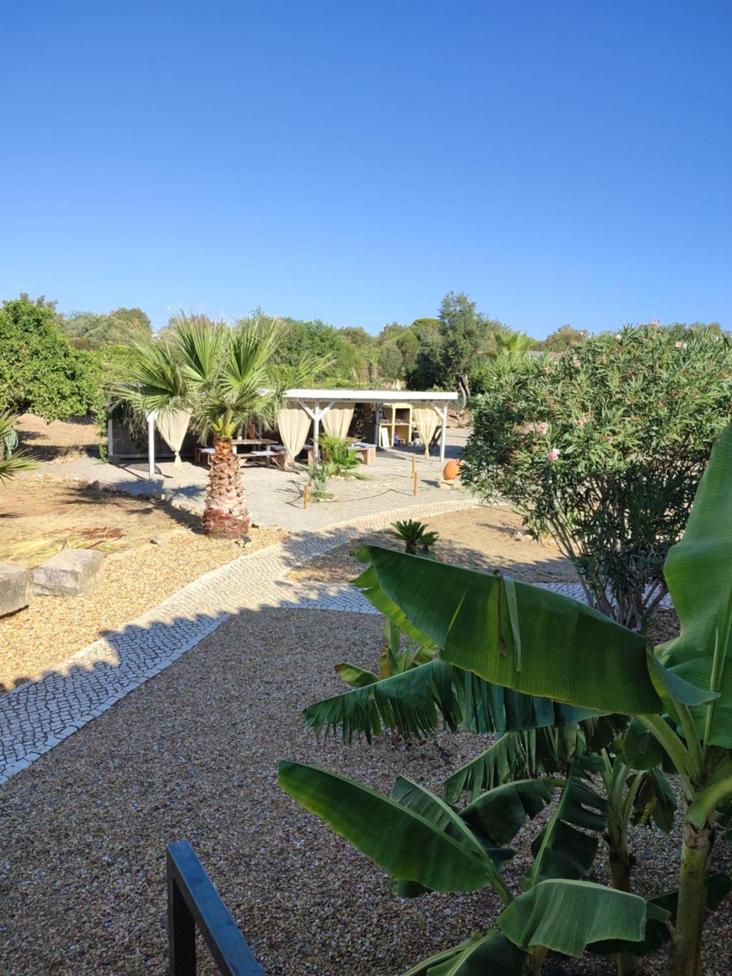 Quinta Pereiro Tropic Garden, Algarve Bed & Breakfast Moncarapacho Dış mekan fotoğraf